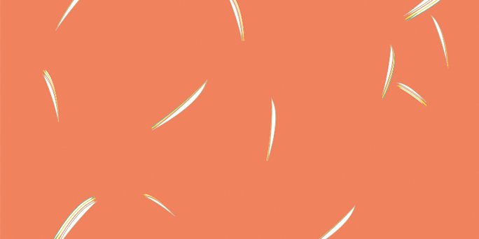 flr2_illus