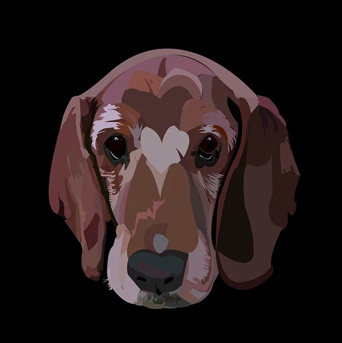 ned_illus